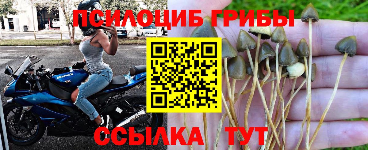 Галлюциногенные грибы ЛСД  Вход с VPN  Галлюциногенные грибы GOLDEN TEACHER  Гагарин 